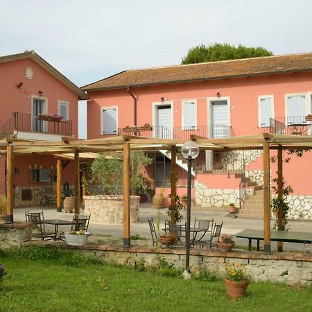 Appartement Agriturismo Colle Al Sole à Castiglione del Lago Extérieur photo