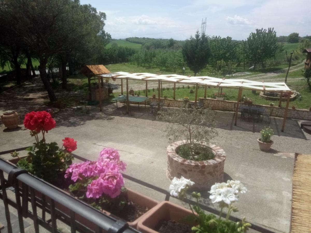 Appartement Agriturismo Colle Al Sole à Castiglione del Lago Extérieur photo