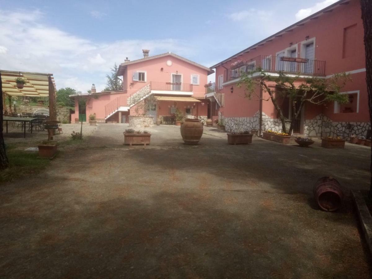 Appartement Agriturismo Colle Al Sole à Castiglione del Lago Extérieur photo