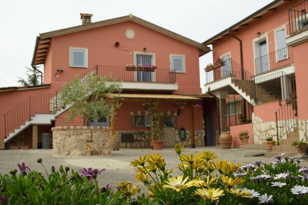 Appartement Agriturismo Colle Al Sole à Castiglione del Lago Extérieur photo