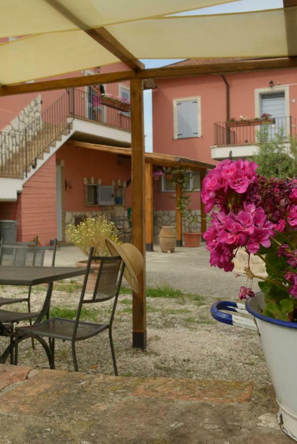Appartement Agriturismo Colle Al Sole à Castiglione del Lago Extérieur photo